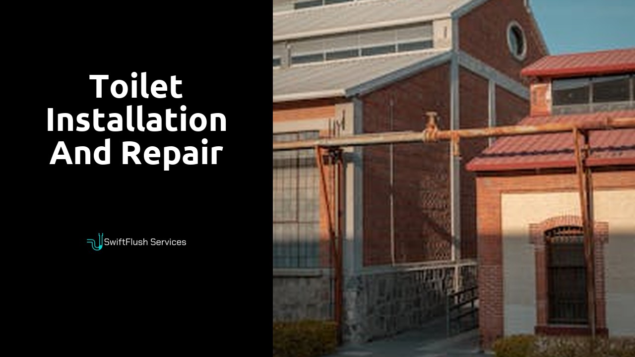 Toilet installation and repair